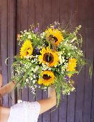 NICE - Bouquet de fleurs de tournesol