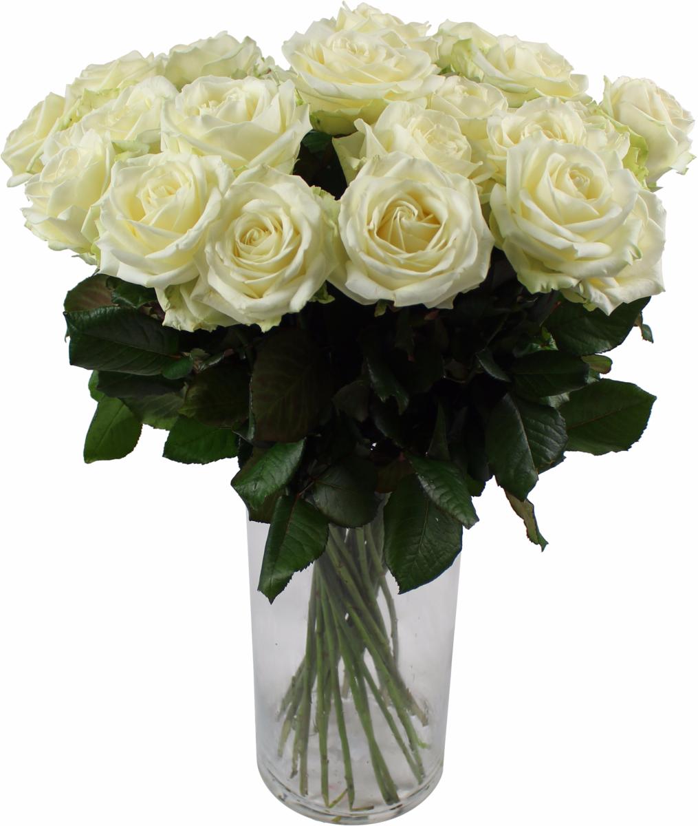 Prix D Une Rose à L unité Fleuriste Offrir des roses blanches à l'unité - La Fontaine Fleurie