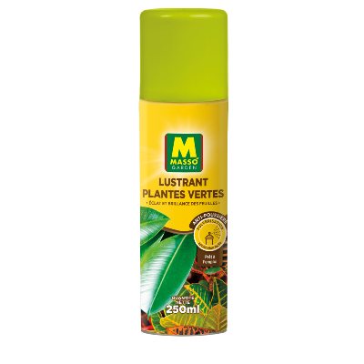 LUSTRANT PLANTES VERTES MASSO