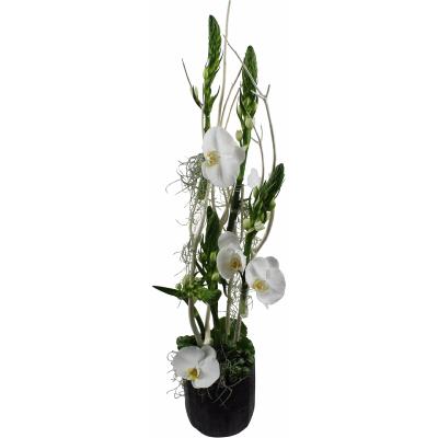 COMPOSITION ORCHIDÉES BLANCHES EUGÉNIE