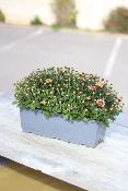 JARDINIÈRE DE FLEURS - Pomponette 40 cm
