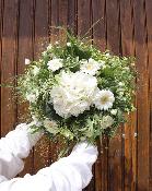 SOFIA - Bouquet de fleurs blanc