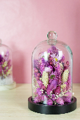 THÉO - Cloche de fleurs séchées mauve