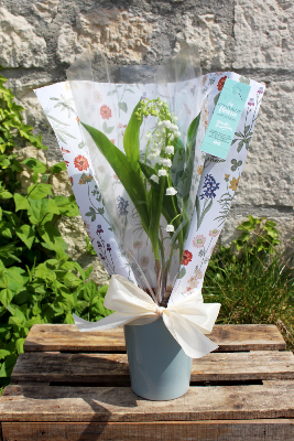 1er Mai - Composition pot de muguet