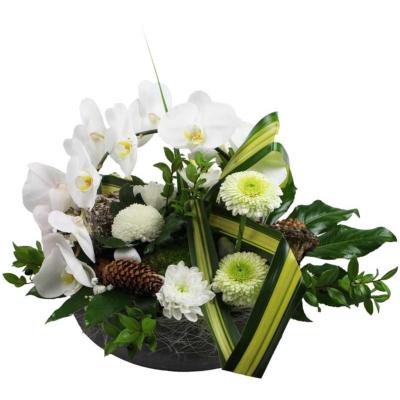 COMPOSITION D'ORCHIDÉES BLANCHES MALYO