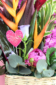 Fête des Mères - Composition de fleurs exotiques