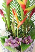 FÊTE DES MÈRES - Composition de fleurs exotiques