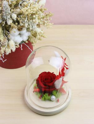 CLOCHE DE ROSE ÉTERNELLE ET FLEURS SÉCHÉES 