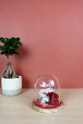 SAINT-VALENTIN - Cloche rose éternelle et coton