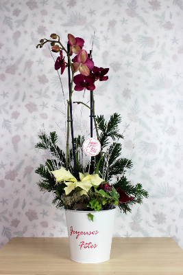 NOËL - Composition d'orchidées et poinsettia blanc