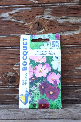 GRAINE À PLANTER - Cosmos sensation varié