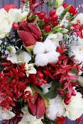 STRASBOURG - Bouquet de fleurs spécial Noël