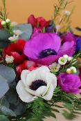BOUQUET À LA BOTTE - Anémone de saison