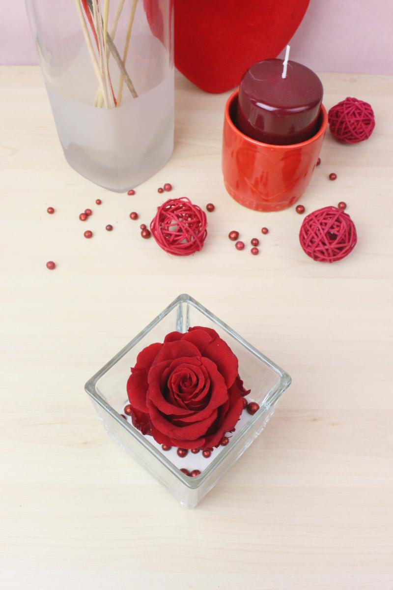 Rose éternelle sous verre spécial Saint-Valentin - La Fontaine Fleurie