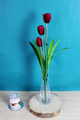 FLEUR ÉTERNELLE - Tulipe