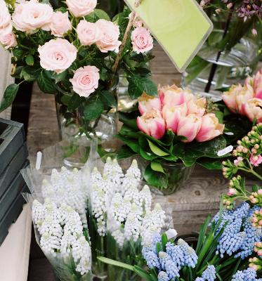 Notre collection de fleurs et plantes