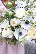 LAPONIE - Bouquet de fleurs blanches