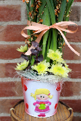 Fête des Grands-Mères - Compositions de tulipes, jonquilles et genêt