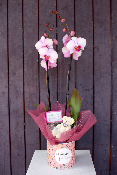 Fête des Mères - Orchidée décorée Maman Merveilleuse rose