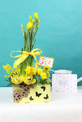 Fête des Grands-Mères -Composition de narcisses, cymbidium, pensée