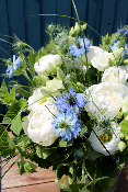 MARSEILLE - Bouquet de fleurs bleu et blanc