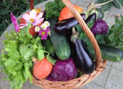 Nos trois conseils pour bien dbuter son potager