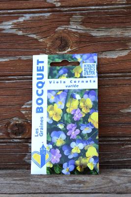 GRAINE À PLANTER - Viola cornuta variée