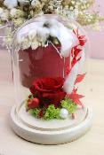 CLOCHE DE ROSE ÉTERNELLE ET FLEURS SÉCHÉES 