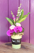Composition avec brin de muguet et exotique