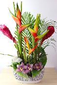 FÊTE DES MÈRES - Composition de fleurs exotiques