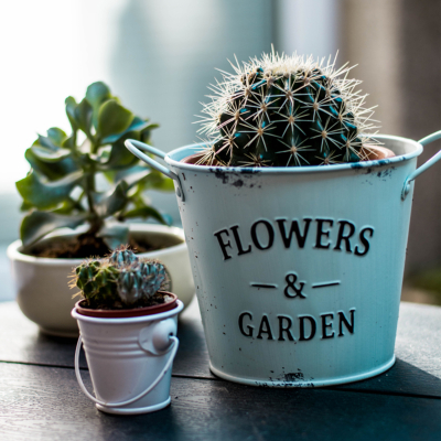 Nos accessoires pour fleurs et plantes