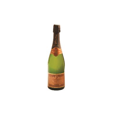 BOUTEILLE DE CHAMPAGNE BRUT 