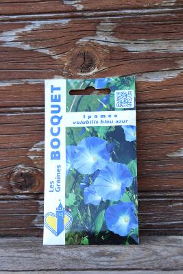 GRAINE À PLANTER - Ipomée volubilis bleu azur