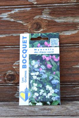 GRAINE À PLANTER - Myosotis des Alpes variée