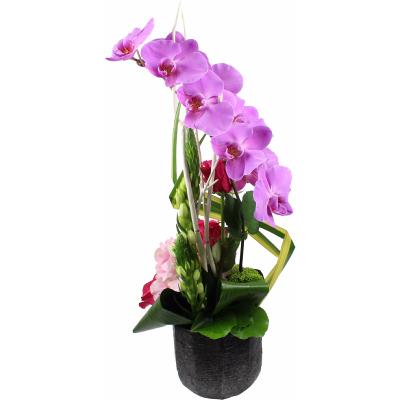 COMPOSITION ORCHIDÉES ROSES AGATHA