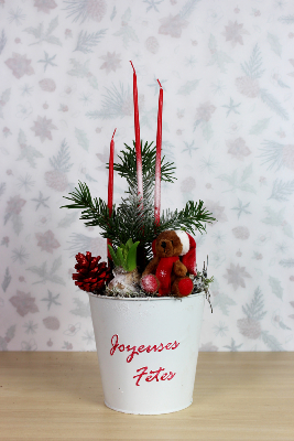 NOËL - Composition de jacinthes petit ourson