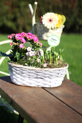 Fête des Grands-Mères - Composition panier fleuri