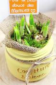 COUPE DE NARCISSES DE SAISON
