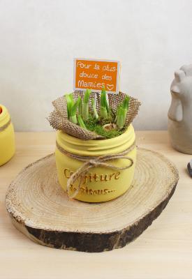 COUPE DE NARCISSES DE SAISON