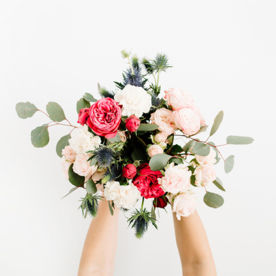 Notre collection de fleurs et plantes