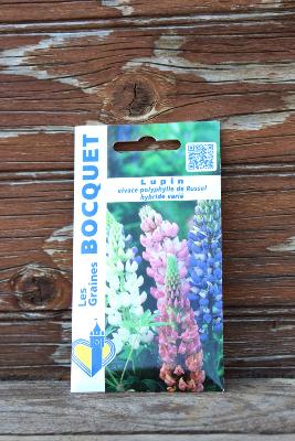 GRAINE À PLANTER - Lupin vivace polyphylle de Russel hybride varié