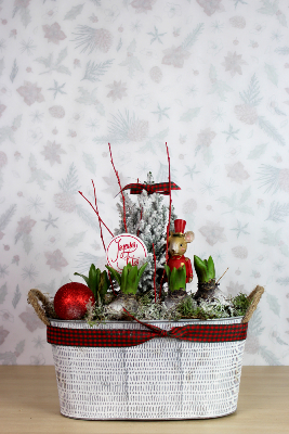NOËL - Panier de jacinthes souris rouge