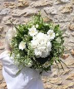 SOFIA - Bouquet de fleurs blanc