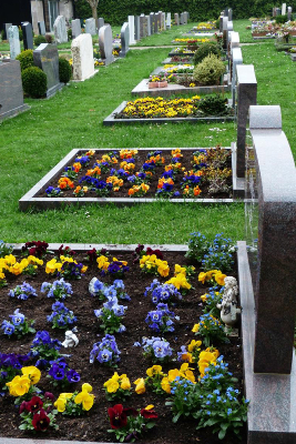 Tombe fleurie