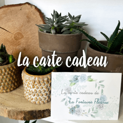 carte cadeau Fleuriste Compiègne